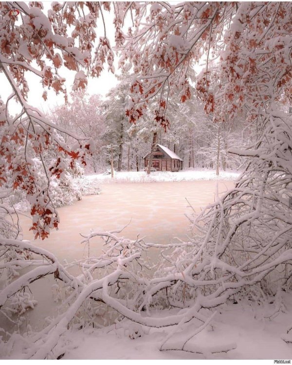 зимняя природа