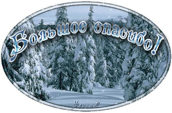 благодарю зимнее