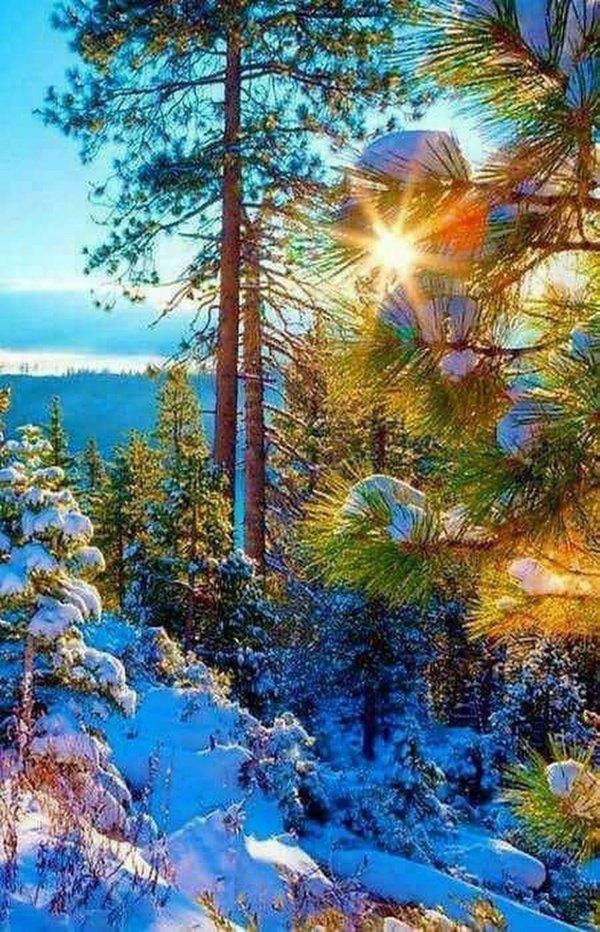 природа зимняя