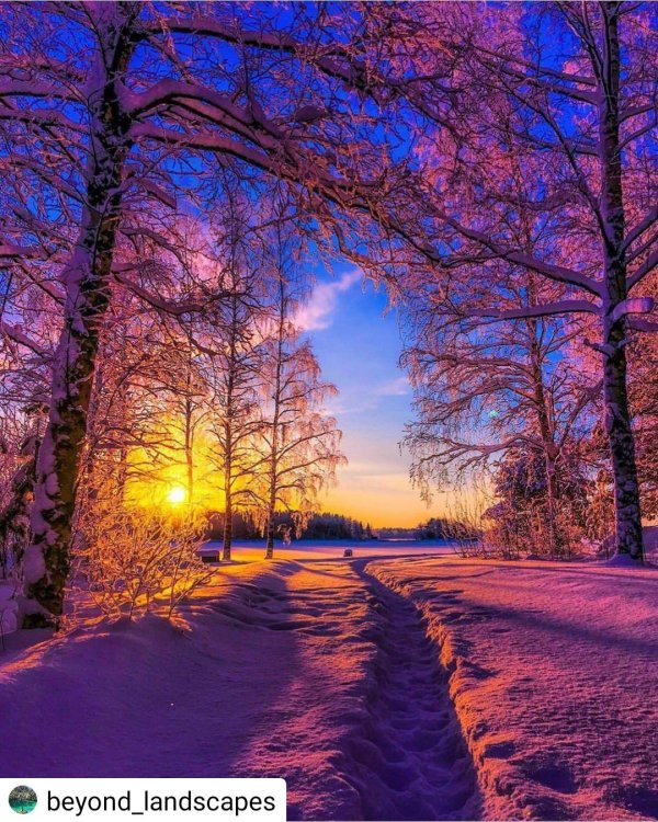 зимний рассвет