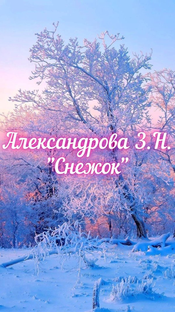 александрова снежок