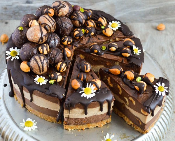 шоколадные торты