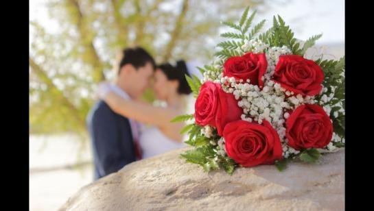 букет невесты розы и гипсофила