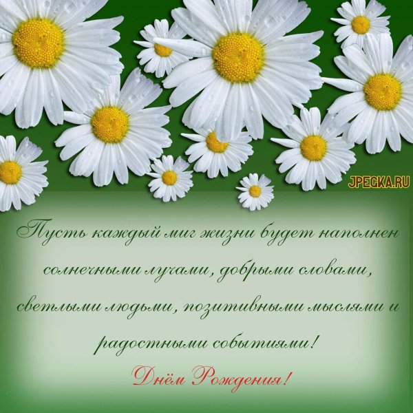 ромашки открытка с днем рождения