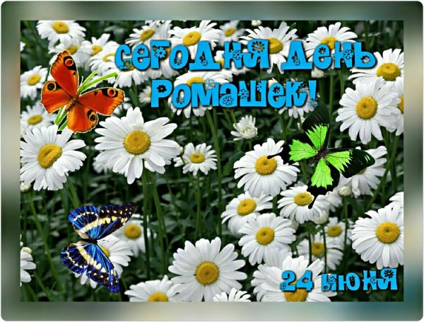 с ромашками