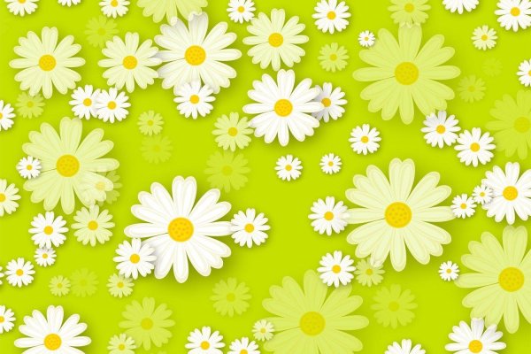 бесшовный фон ромашки