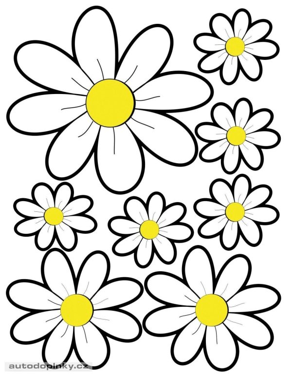 трафарет ромашек