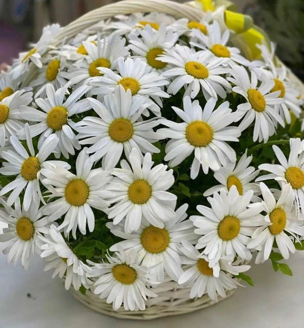 корзина с ромашками