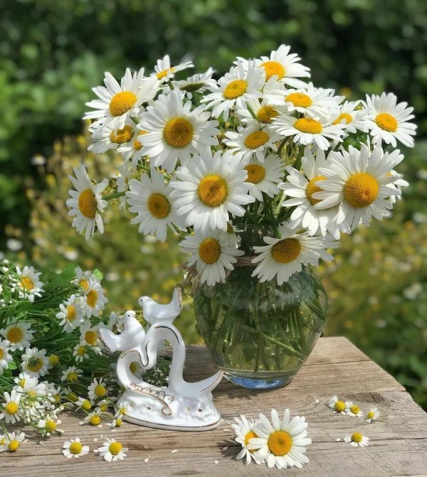 с ромашками