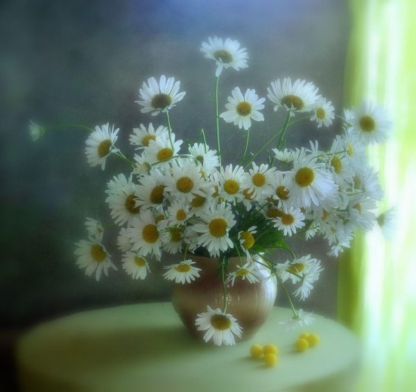 ромашкового настроения