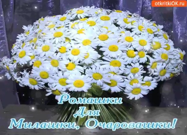 букет ромашек