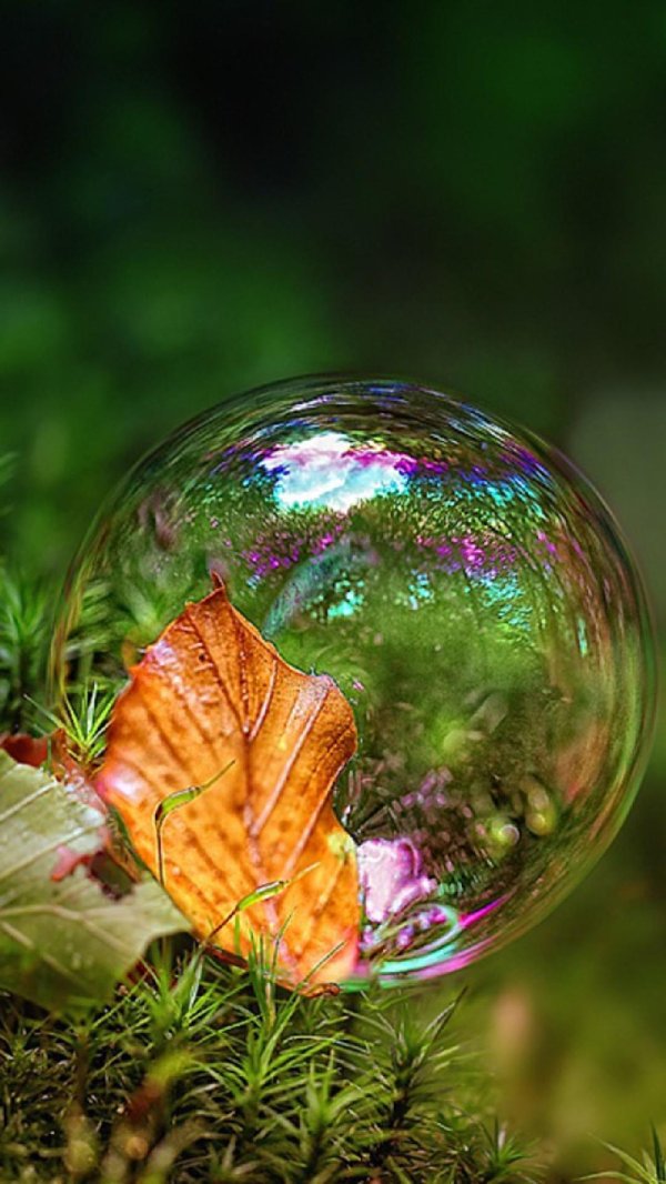 мыльные пузыри