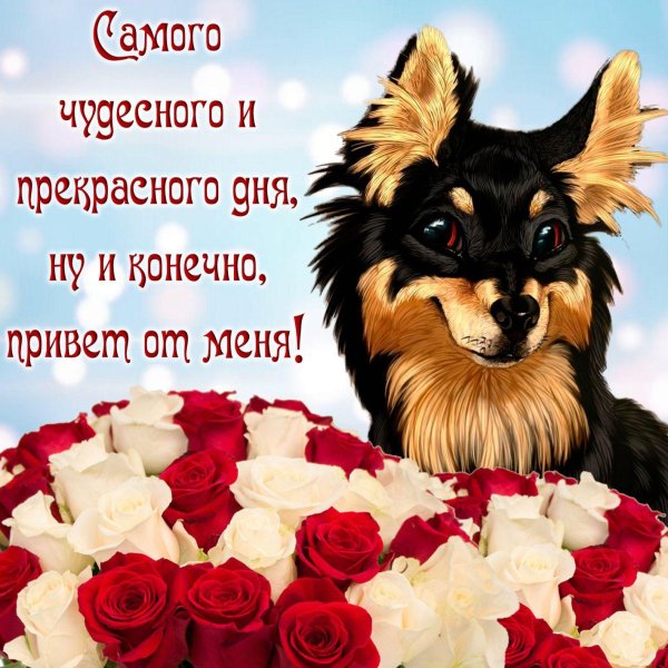 прекрасного дня