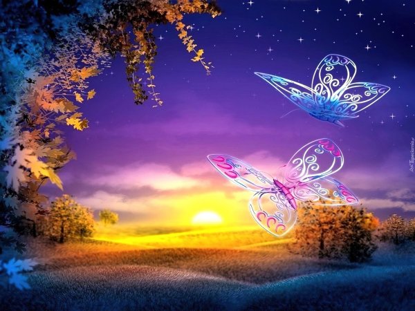 волшебная бабочка