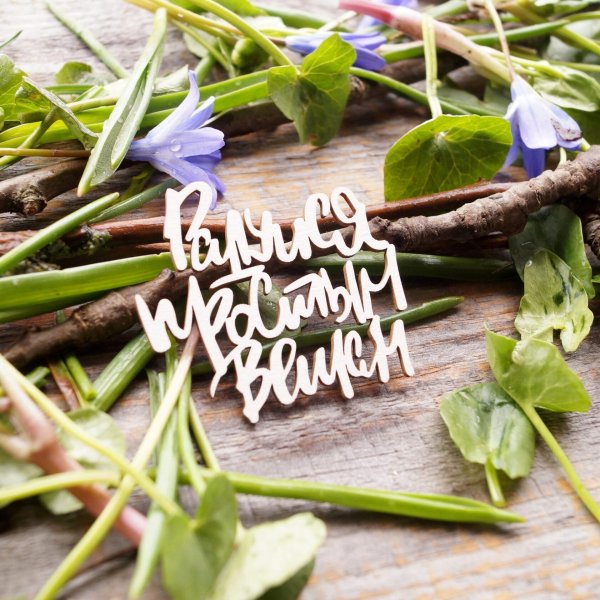 leomammy чипборд