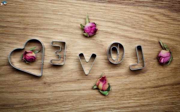 любовь красивая