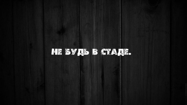 не будь стадом
