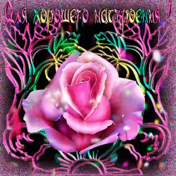 переливающиеся цветы