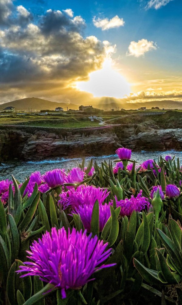 красота природа