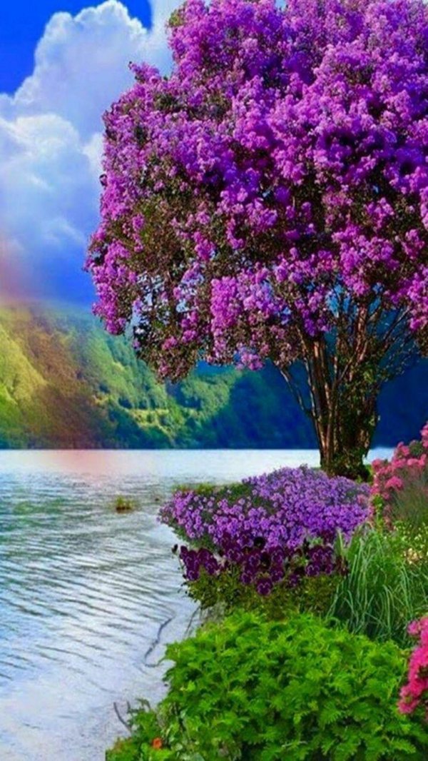 яркая природа