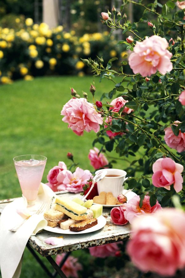 красивый завтрак