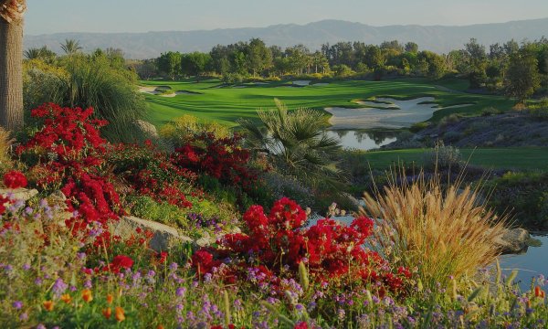 палм спрингс калифорния