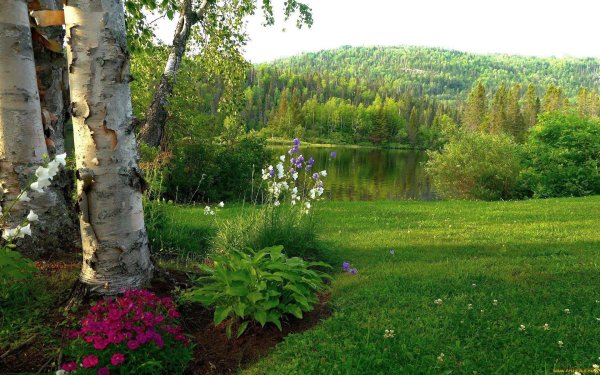 На природе с цветами