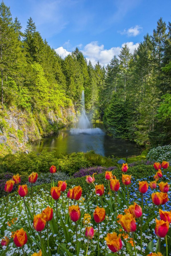 butchart gardens канада