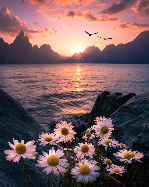 красивые рассветы