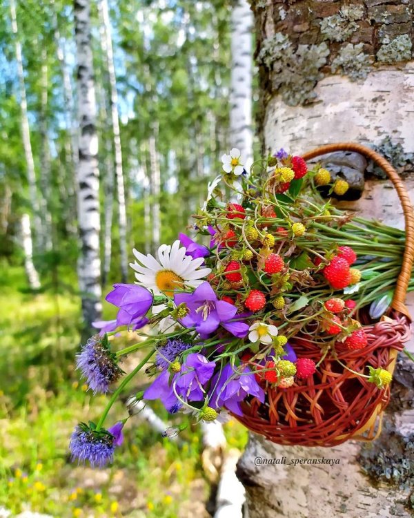 доброе летнее утро пожелания