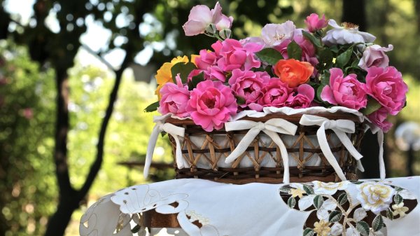 цветочная композиция