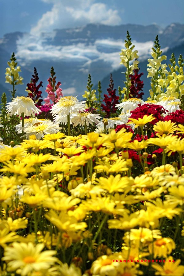 пейзажи красивые