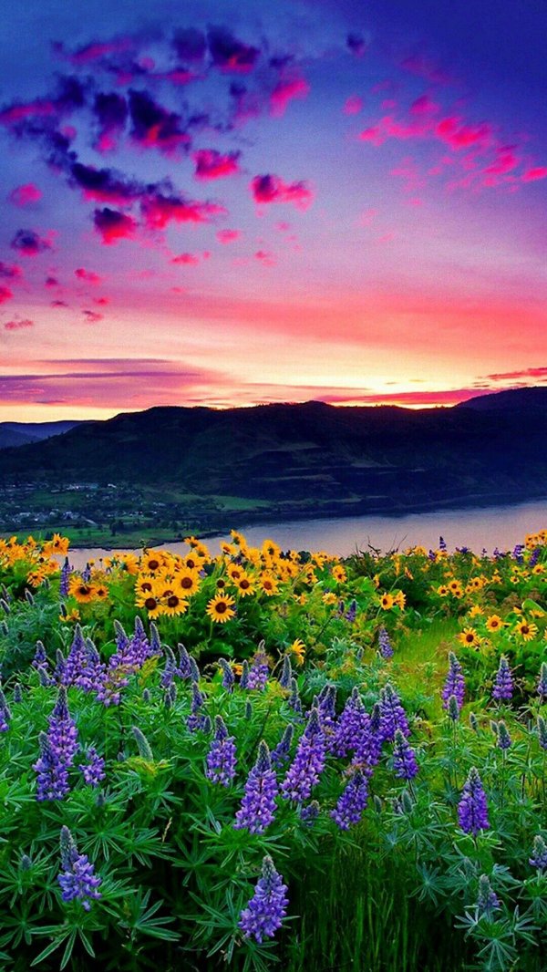 красивая яркая природа