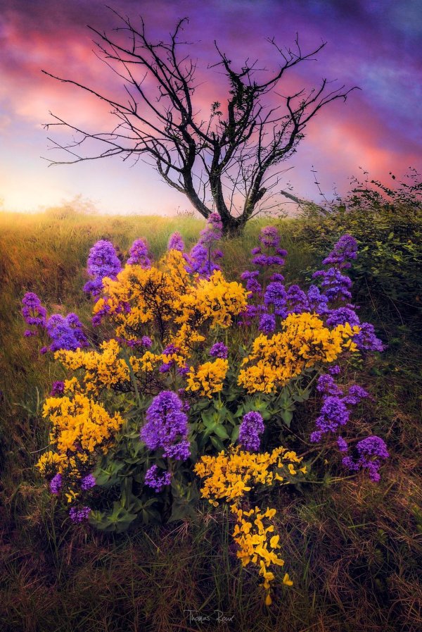 красота природа