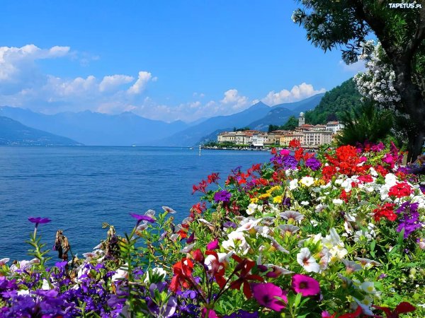 белладжио комо италия