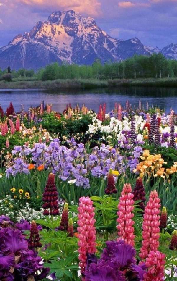 природа красивая