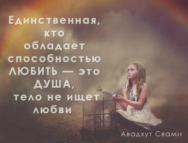 душа с душой