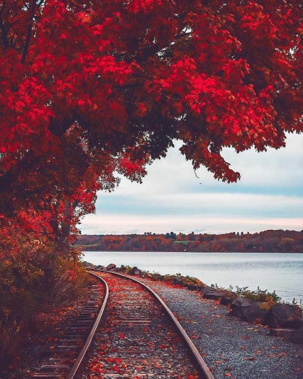 осенние пейзажи