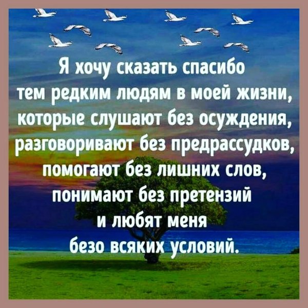 хочу сказать спасибо