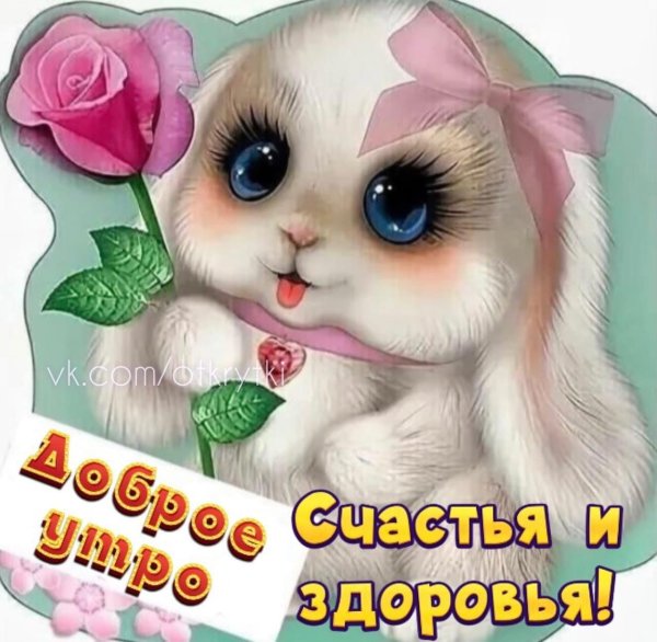 доброе утро зайчик