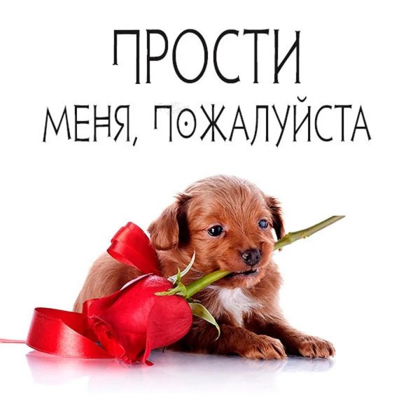 извини открытка