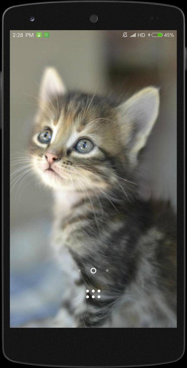 котики маленькие