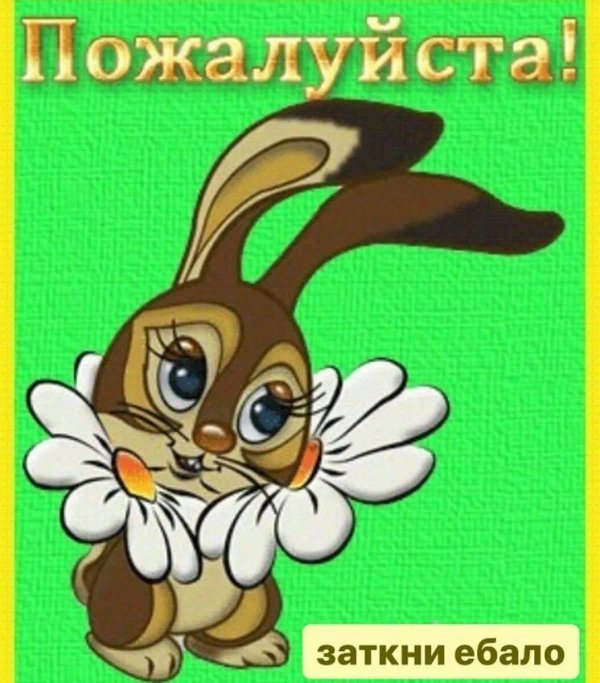 подмигивающий заяц