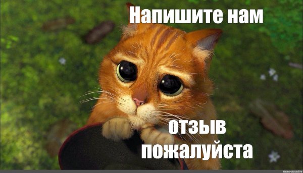 котик из шрека