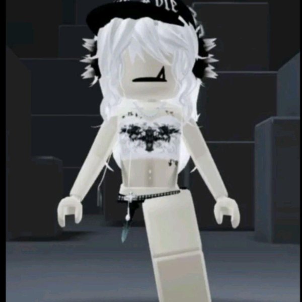 скины в роблоксе