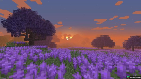 красивый пейзаж в майнкрафте