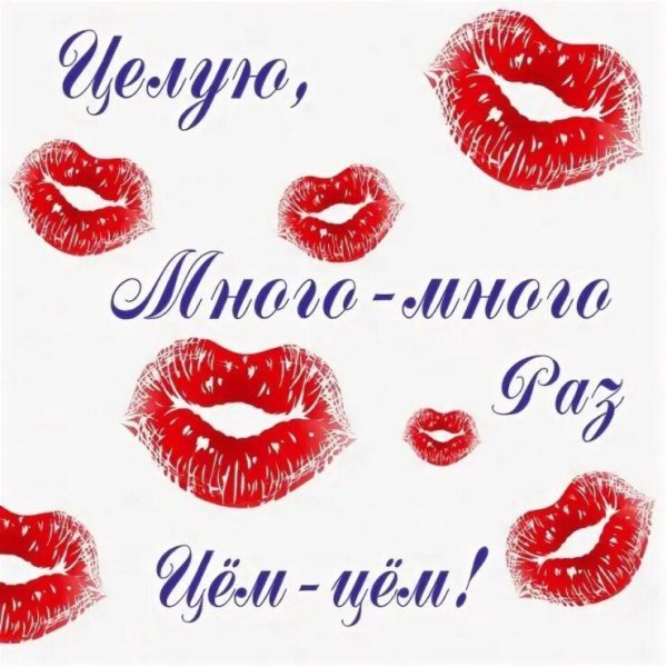 целую много много