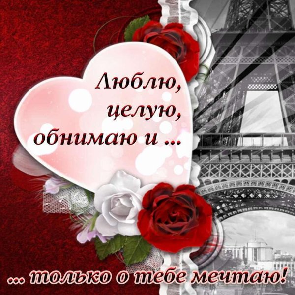 люблю целую