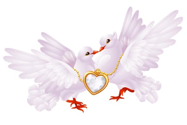 голуби свадебные