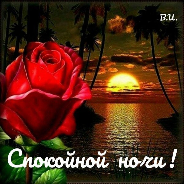 добрая ночь